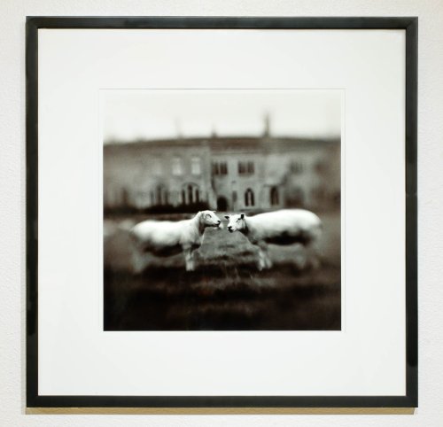 The Birth of Photography