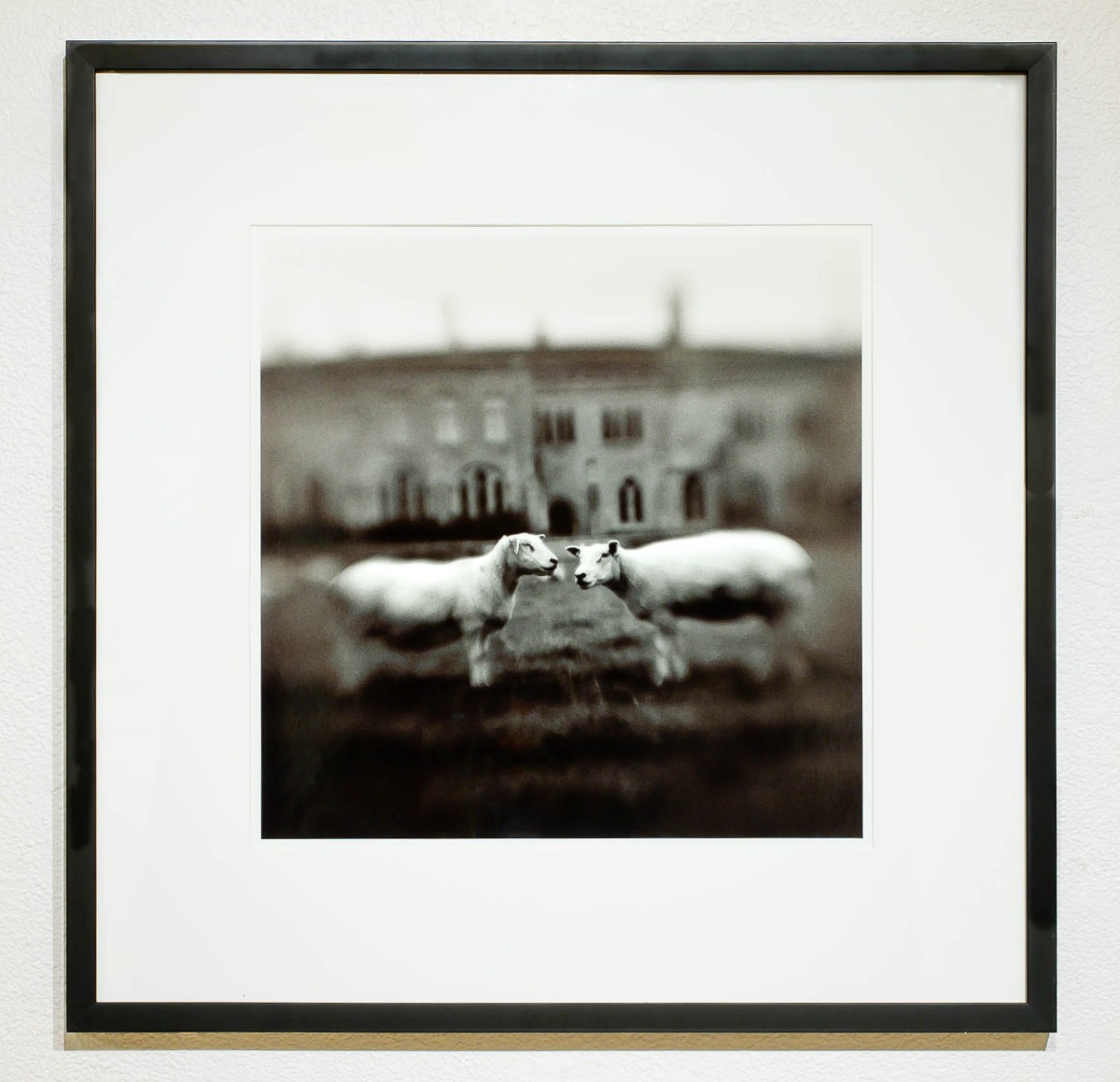 The Birth of Photography