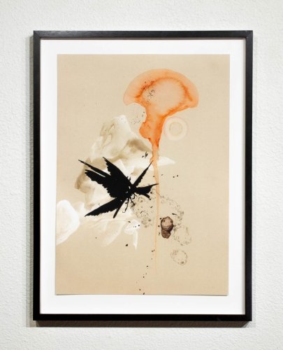 Red Cloud from The Flowering