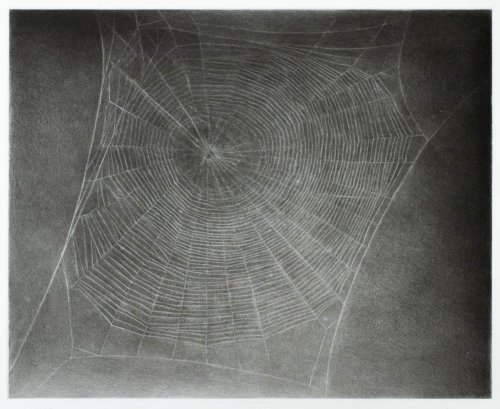 Untitled (Web 4)