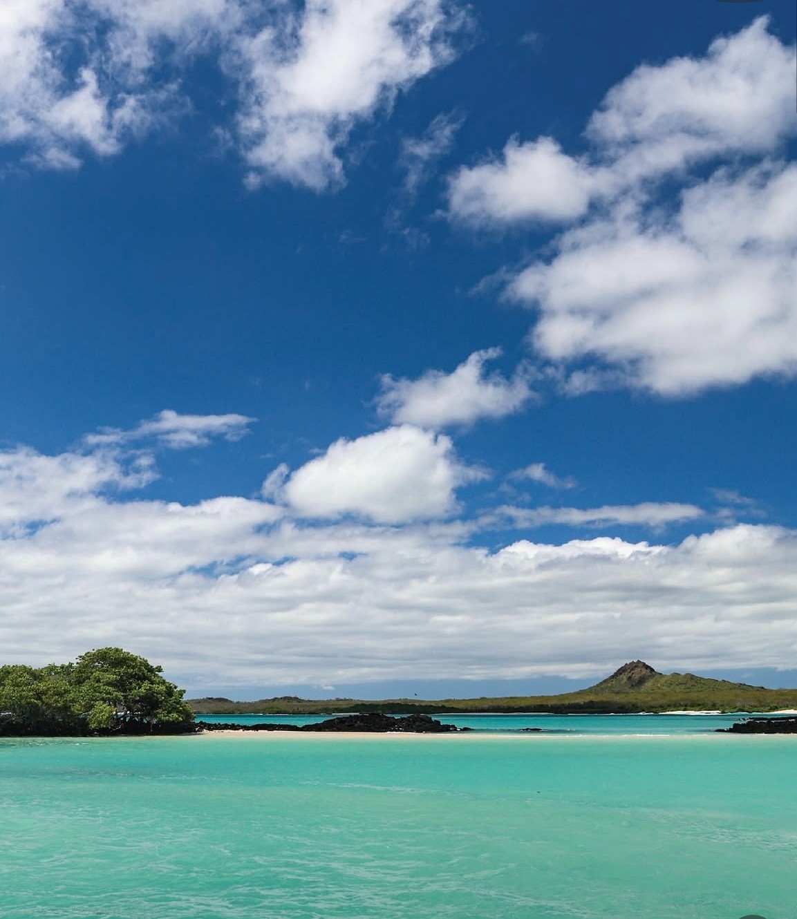 Ecuador Forest to Fauna: A Photo Exhibition
