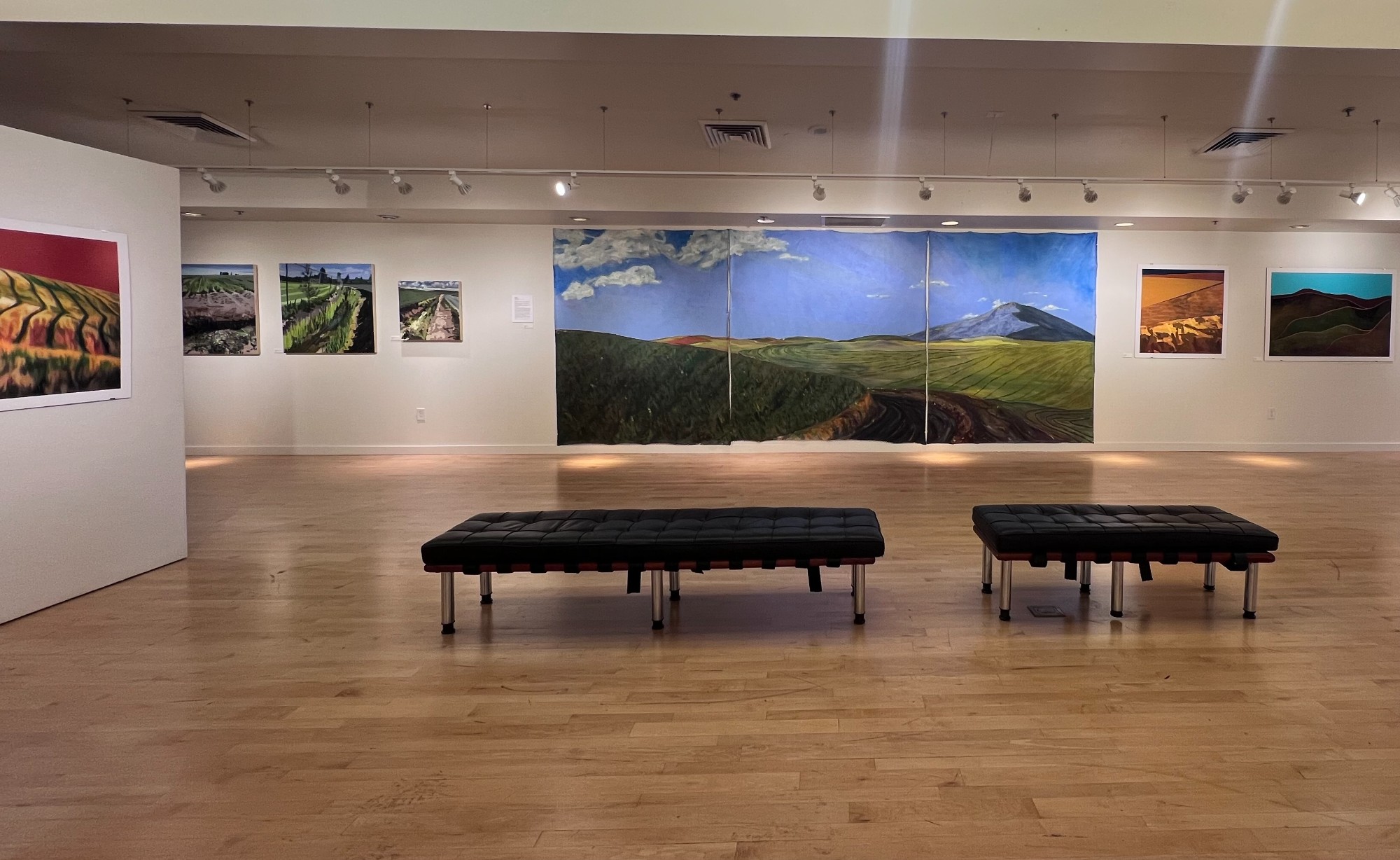 The Palouse: Variations on a Theme